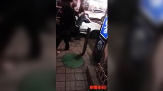 길거리 꽐라커플 체포되기 1분전 ㅋㅋ korean porn vip